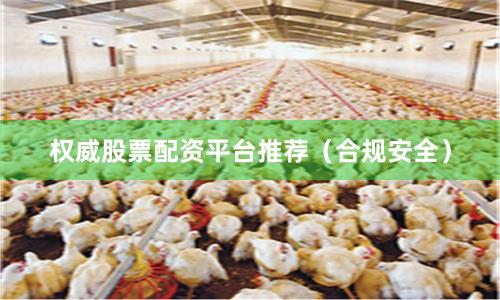 权威股票配资平台推荐（合规安全）
