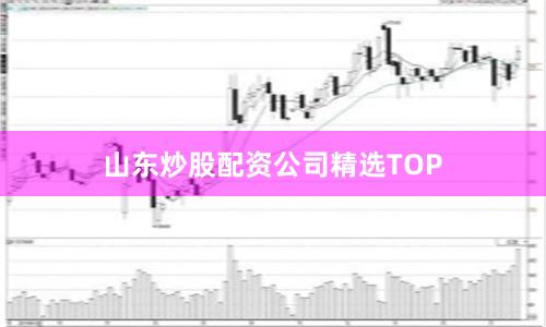 山东炒股配资公司精选TOP