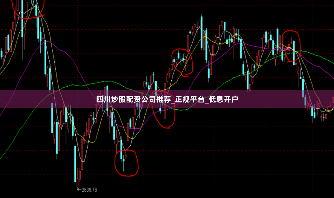 四川炒股配资公司推荐_正规平台_低息开户